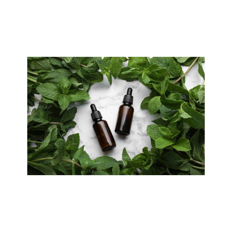 Sérum Capillaire Bio 30ml - Menthe poivrée