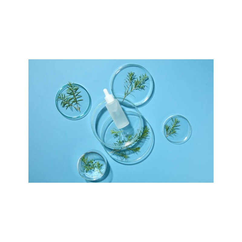 Lot de 3 galets d'argile naturelle
