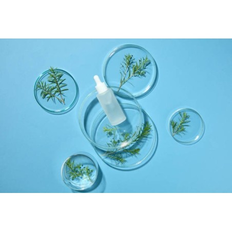 Lot de 3 galets d'argile naturelle