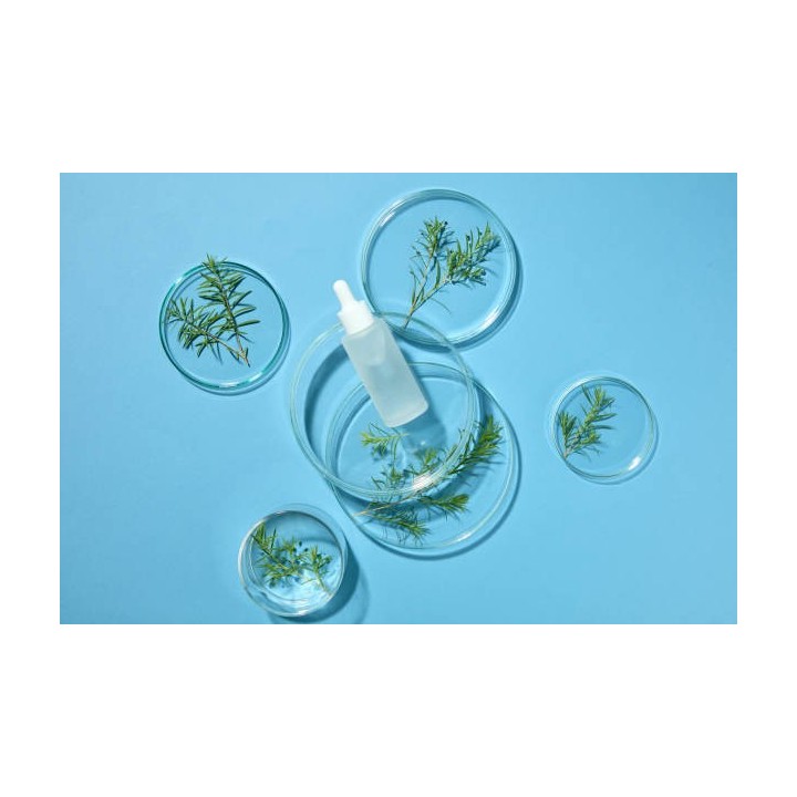 Lot de 3 galets d'argile naturelle