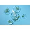 Lot de 3 galets d'argile naturelle