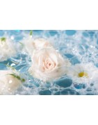 Fleurs de bain